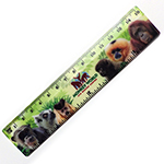 15CM FULL COLOUR RULER